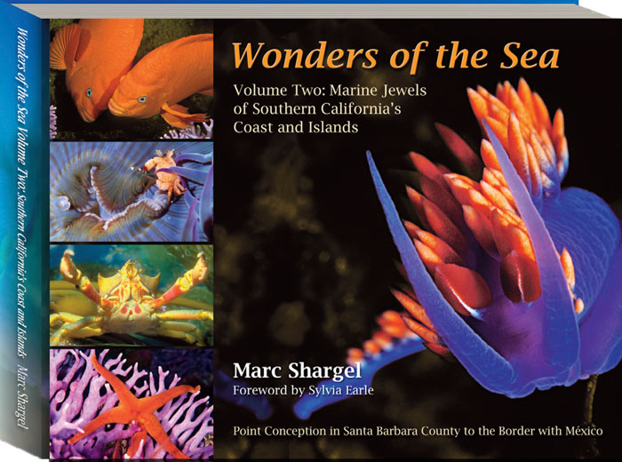 Wonders of the Sea Volume Two: Marine Jewels of Southern California's Coast and Islands by Marc Shargel